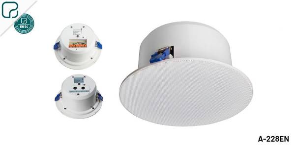 Flush mount Ceiling  Speakers